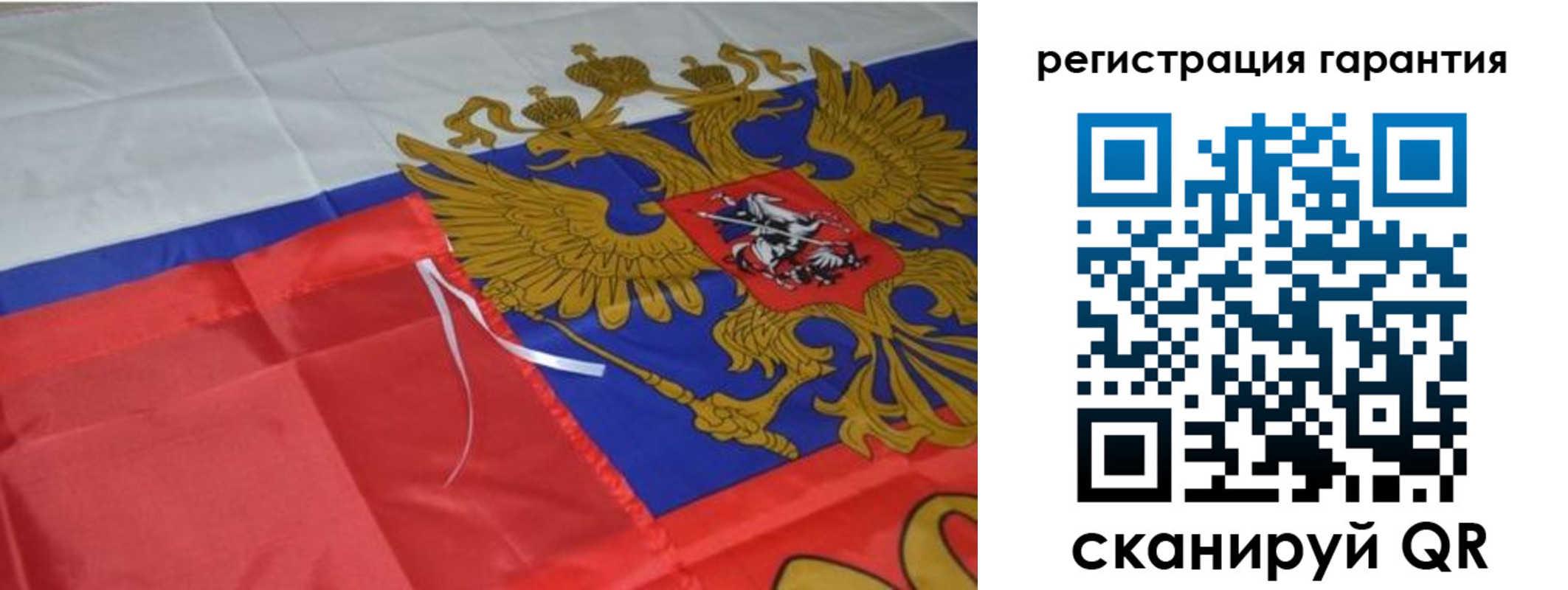 прописка 2025 в Светогорске