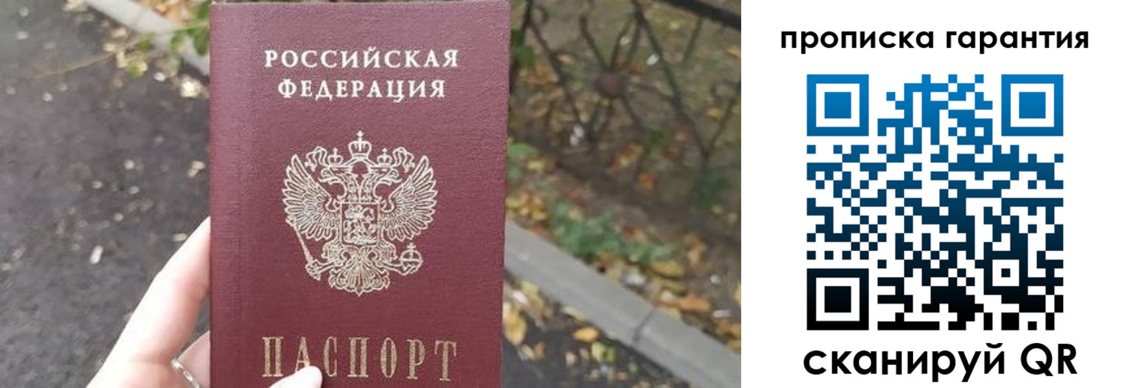где прописаться в Светогорске